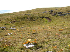 Schweiz Le Chasseral 010.JPG